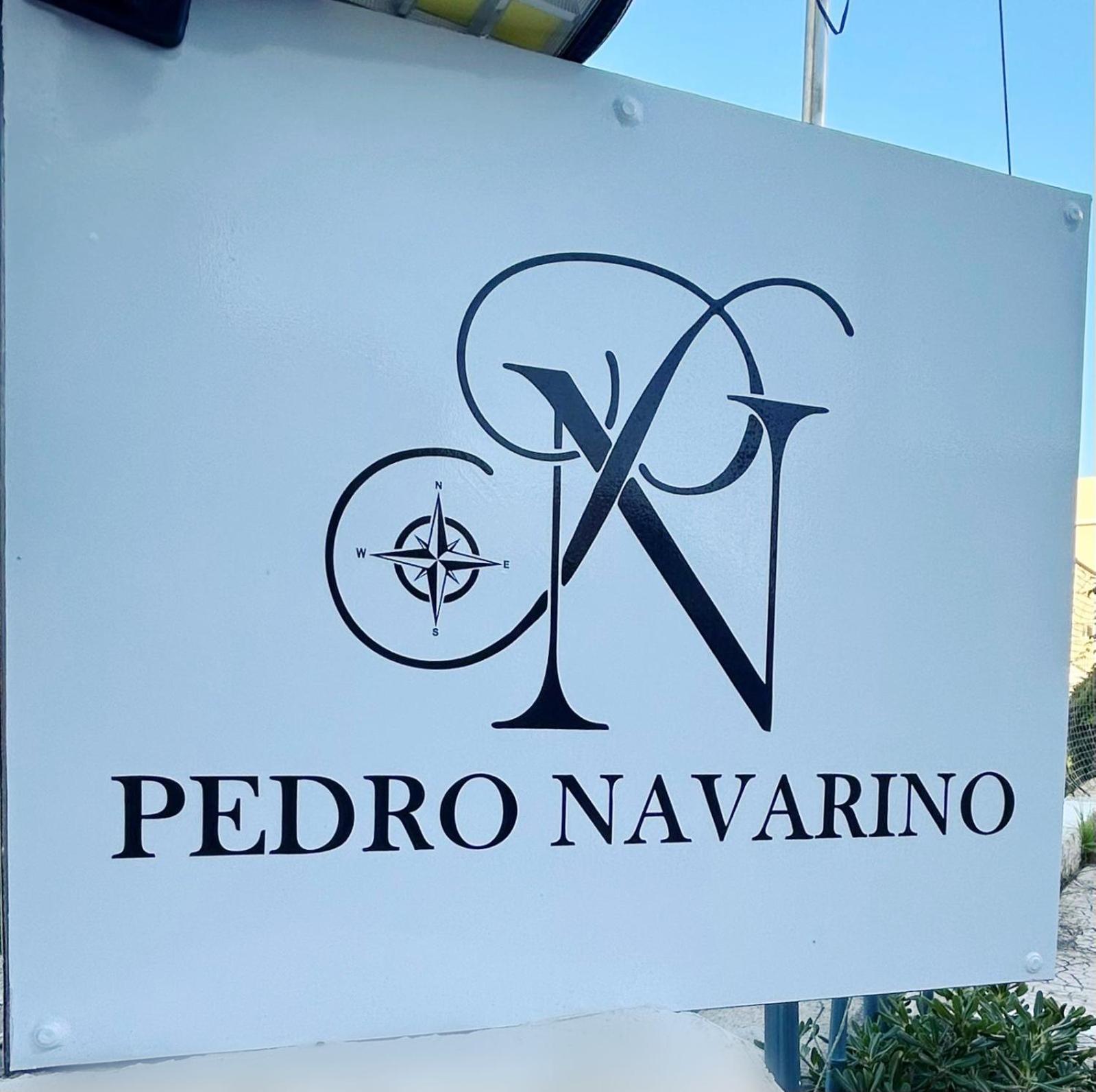 Apartment Pedro Navarino Vii